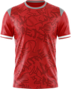 1. FC Kaiserslautern kit