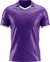 Fiorentina kit