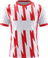 Necaxa kit