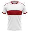 VfB Stuttgart kit